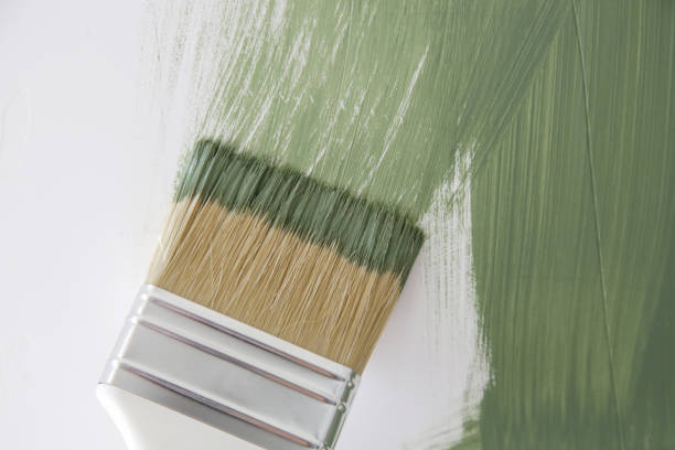 Reliable Boron, CA Mold Removal Solutions